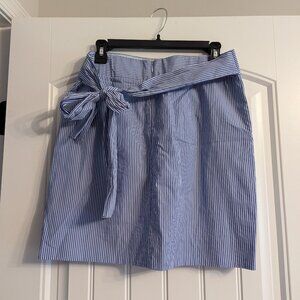 J.Crew Skirt